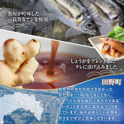 ふるさと納税 田野町 【四国一小さなまち】これが魚屋の漬け丼だ!〜アジ〜 80g×5P |  | 01