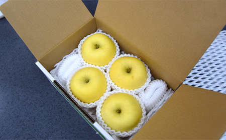 山形県産 りんご はるか 秀品 1kg FSY-0877