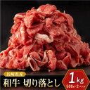 【ふるさと納税】長崎県産 和牛 切り落とし 1kg（500g×2パック)【合同会社肉のマルシン】[QBN002]