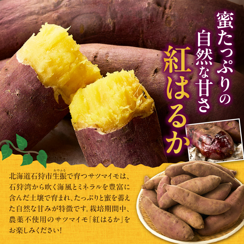 【先行予約】石狩産 土付サツマイモ 紅はるか（S〜3Lサイズ混在） 3kg【10月発送】 | さつまいも サツマイモ 芋 北海道 石狩市