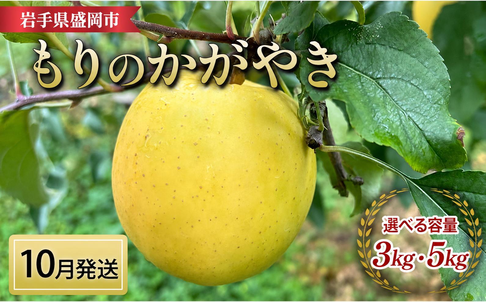 
                  【先行予約】10月中旬発送 もりのかがやき 選べる容量 3kg・5kg完熟 フルーツ 果物 旬 旬のフルーツ 季節のフルーツ 林檎 リンゴ 国産 産地直送 くだもの お取り寄せ 贈り物 ギフト 贈答用 贈答 贈り物 プレゼント おすすめ 美味しい デザート 特産品 名産品 ご当地 岩手県 盛岡市 東北 岩手 盛岡 北田りんご園 kitada012P
                