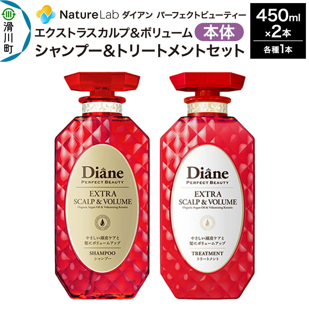 【ふるさと納税】Diane ダイアン パーフェクトビューティ— エクストラスカルプ＆ボリューム シャンプー＆トリートメント 本体セット 450ml×2