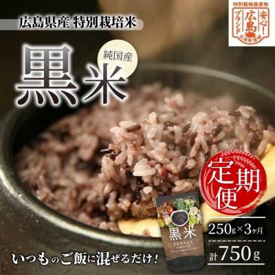 ふるさと納税 三原市 【3か月定期便】広島県産 特別栽培 黒米 250g×1パック×3か月[227-003]