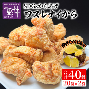 【からあげ聖林】SDGsからあげ「ワスレナイから」ジャワしょうが入り（40個） KH5306