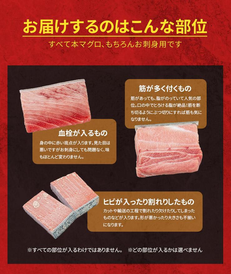 【定期便/隔月/計3回】本マグロ訳あり中トロ700g（計2.1kg）【DG008-tk3】|いわき市 ふるさと納税 株式会社東日本貿易 鮪 本鮪 本まぐろ マグロ トロ とろ 刺し身 さしみ さかな 