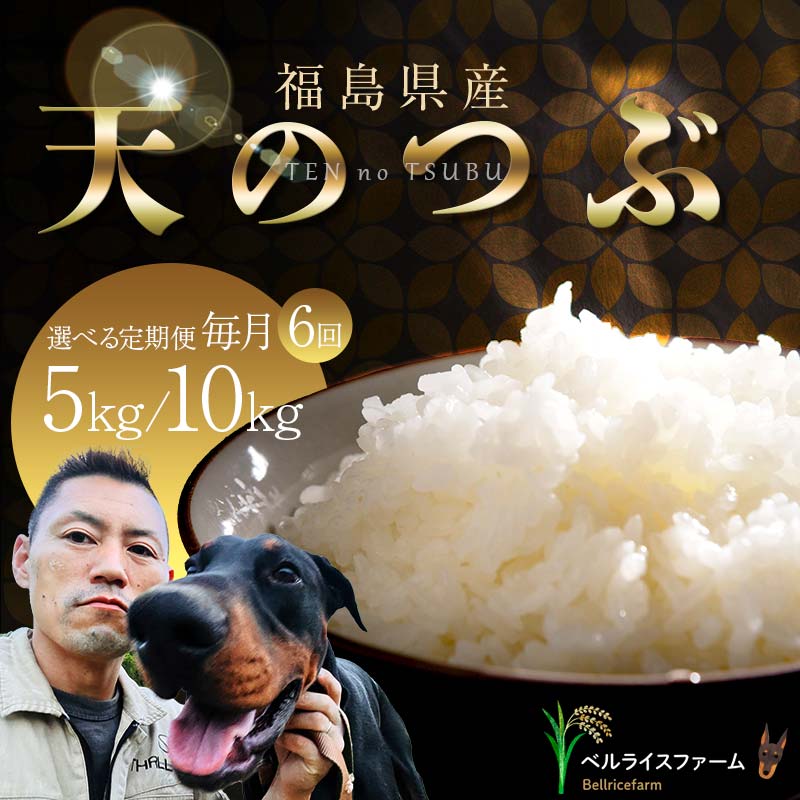 【ふるさと納税】 《選べる容量》 【お米の定期便 2025年11月より毎月6か月配送】農家直送 天のつぶ 無洗米 5kg/10kg 全6回 F6U-184var
