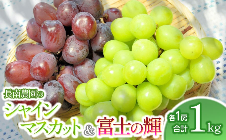 
                  【令和8年産先行予約】 シャインマスカットと富士の輝 各1房 約1kg　山形県鶴岡市産　長南農園　| ぶどう ブドウ 葡萄 ブラックシャインマスカット 大粒 マスカット 甘い 種無し 皮ごと 旬 期間限定 産地直送 果物 くだもの フルーツ ギフト 贈答
                