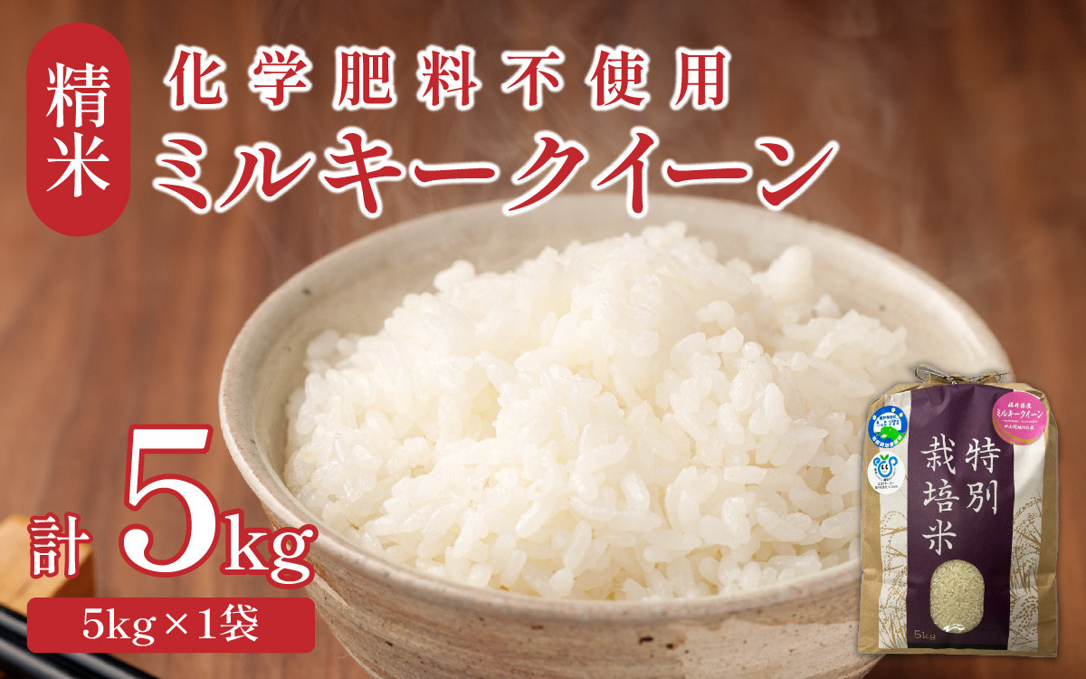 
【先行予約】【令和6年産】 化学肥料不使用ミルキークイーン 精米5kg（5kg×1袋） / 白米 米 福井県あわら市産 美味しい 特別栽培米 安心な米 旨味 甘み もっちり エコファーマー 冷蔵保管米 冷めても美味しい 新米 ※2024年9月中旬より順次発送
