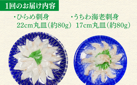 【全12回定期便】ひらめ&うちわ海老の刺盛セット 計1920g(約160g×12回)[KAA247]/ 長崎 平戸 魚介類 魚 刺身 ひらめ ヒラメ 特産 海老 えび エビ ウチワエビ 定期便
