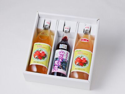 大江の恵　山ぶどう原液500ml紅玉・ふじ1Lジュースセット 003-027