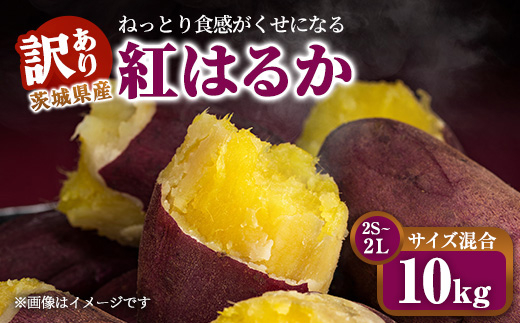 【訳あり】生芋10kg　2Sサイズ～2Lサイズ（サイズバラ）