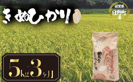 【先行予約】令和8年産 新米 きぬひかり 5kg 定期便 3ヶ月 玄米 米 