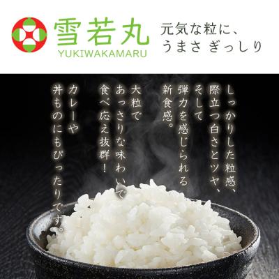 ふるさと納税 山形市  【定期便4回】山形産 雪若丸 精米 5kg×4回 FY26-259 |  | 01
