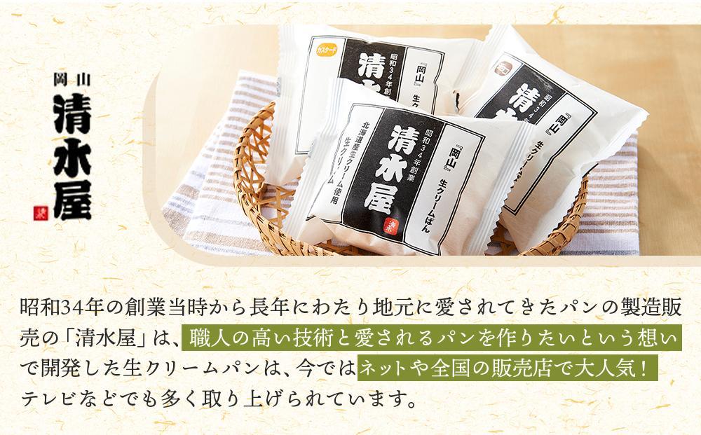 【定期便全6回】＜究極のふわとろ食感＞清水屋 生クリームパン 12個 3種（カスタード・生クリーム・チョコ）