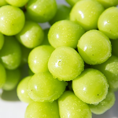 【発送月固定定期便】【訳アリ】山梨の桃とシャインマスカット全2回【配送不可地域：離島・沖縄県】