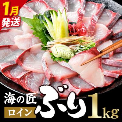 ふるさと納税 佐伯市 <先行予約受付中!2027年1月以降順次発送予定!>海の匠 ブリ スキンレスロイン (1kg)