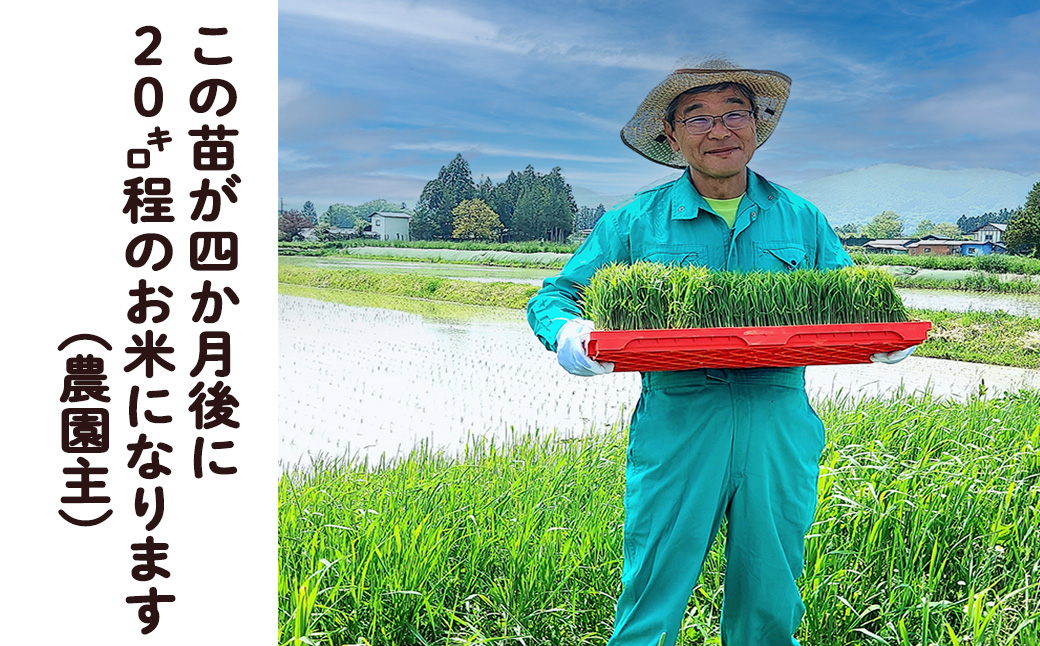 ＜令和8年産予約受付＞銀河のしずく厳選プレミアム（減農薬・減化学肥料）5kg 【1893】