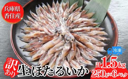 07-02  【訳あり】兵庫県香住産　生ほたるいか1.5㎏（250ｇ×6パック）令和6年3月以降発送