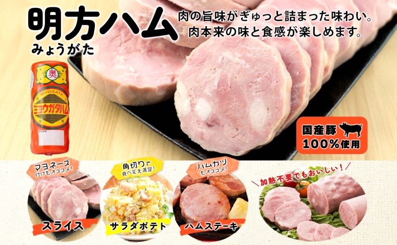 明方 ハム 5本 プレスハム JA ブランド 豚肉 お肉 国産 熟成 塩分 控えめ 豚腸 バーベキュー BBQ 加工品 お取り寄せ 贈答 ギフト 送料無料 めぐみの農業協同組合 岐阜県 美濃市