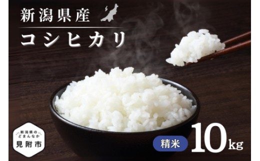 
                  令和7年産 新潟県産 コシヒカリ 10kg 精米 米 お米 白米 コシヒカリ こしひかり おすすめ 人気 こめ コメ 新潟 見附 見附市 7年 2025年産 ふるさと納税 諸長
                