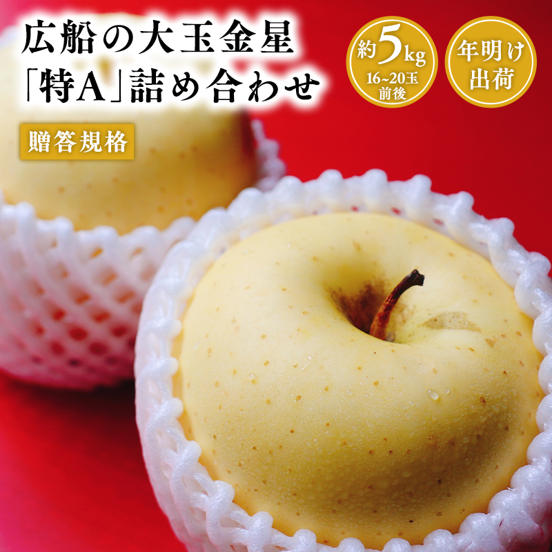 年明け 贈答規格 広船の大玉金星約3kg「特A」【広船アップルクラブ・平川市広船産・青森りんご・1月・2月】1月30日申込締め切り