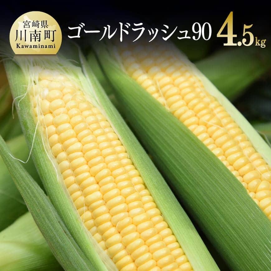 【ふるさと納税】【令和8年発送】政岡さんちのスイートコーン『ゴールドラッシュ90』4.5kg - 先行予約 数量限定 期間限定 2026年発送 とうもろこし スイートコーン 朝どれ 農家直送 九州産 宮崎県産 川南町産 送料無料 C06502
