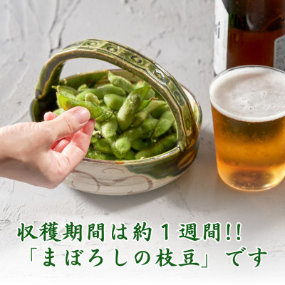 《先行受付》≪レンジ対応袋≫良食味!秋もえだまめ『伊彌彦えだまめ』【弥彦村特産】新潟県 弥彦村【配送不可地域：離島】