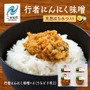 【ふるさと納税】 行者にんにく味噌 ピリ辛味噌 各2個 行者にんにく 国産 山菜 行者ニンニク 滋養強壮 ご飯のお供 おすすめ お中元 お歳暮 ギフト 二本松市 ふくしま 福島県 送料無料 【あだたら高原いっぷく】