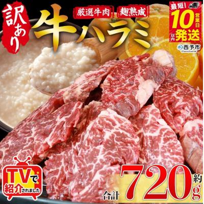 ふるさと納税 西予市 <麹熟成で旨み引き立つ!やわらか赤身ハラミ>720g 訳あり はらみ ハラミ 赤身