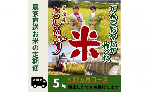 【令和8年産新米】12か月定期便　がんこおやじが作った南魚沼産コシヒカリ白米５kg【定期便 銘柄米 ブランド米 精米 こしひかり コシヒカリ 魚沼産 新潟米 産地直送 お米 米 こめ コメ ご飯 御飯 ごはん】【2026年10月上旬より順次発送】