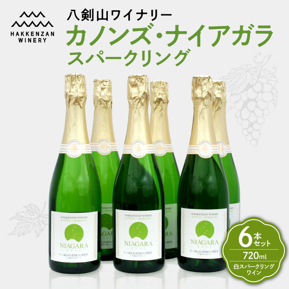 【ふるさと納税】 ★さっぽろ地ワイン★ スパークリングワイン 白ワイン 720ml 6本 セット すっきり 辛口 ドライ カノンズ・ナイアガラ スパークリング 白 ワイン 炭酸 ナイアガラブドウ お酒 アルコール 酒 八剣山ワイナリー 記念日 ギフト 北海道 札幌市