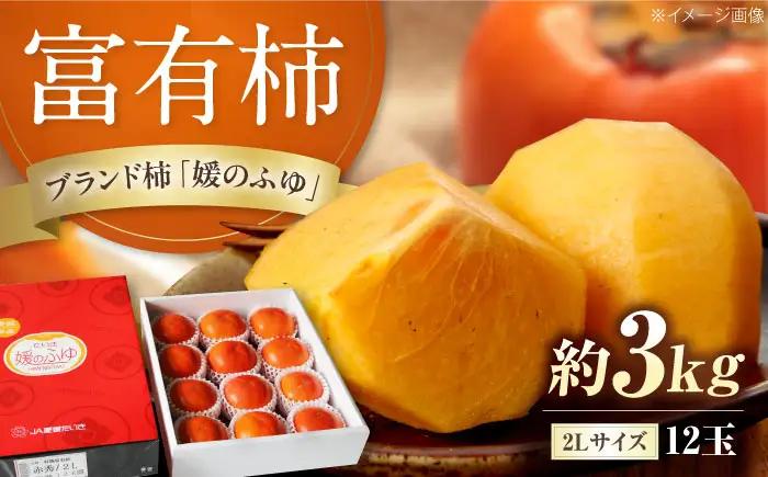 柿 有袋富有柿 約3kg BKAL001 