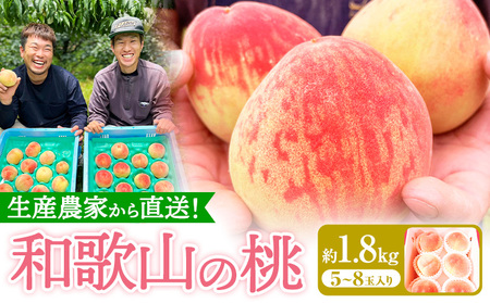 和歌山県産の桃 約1.8kg (5～8玉入り) GREEN JUNCTION株式会社《2025年6月中旬-2025年8月末頃出荷》和歌山県 紀の川市 桃 果物 果実 フルーツ 自然栽培 送料無料