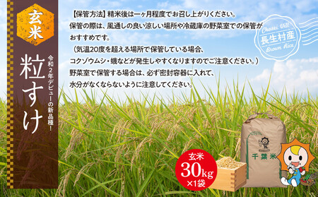 H04-B02 粒すけ（玄米30kg）令和7年産