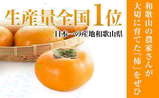 和歌山県は日本一の柿生産量を誇る大産地です