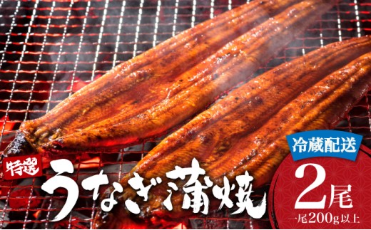 ＜2026年4月配送＞うなぎ蒲焼き 400g (200g×2尾) ／ 国産 蒲焼き 長焼き ウナギ 鰻 蒲焼 贈答 うなぎ 冷蔵