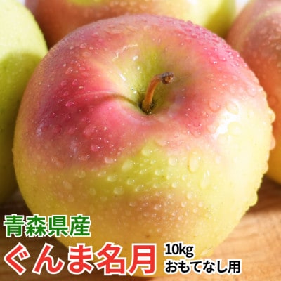 【26年11月から順次発送】青森りんご ぐんま名月 約10kg おもてなし用 平均糖度13度以上!【配送不可地域：沖縄県】
