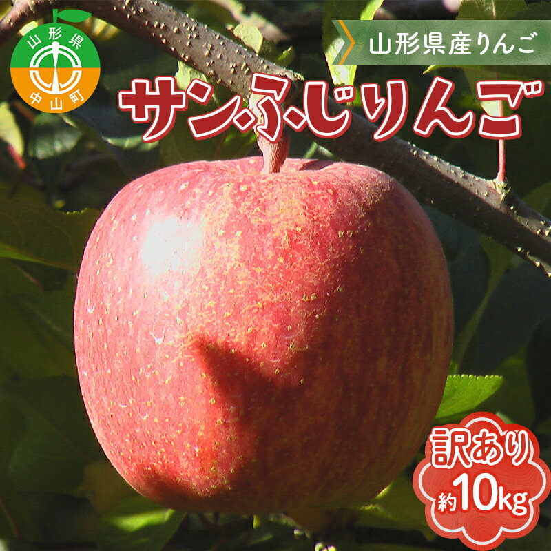 【ふるさと納税】《先行予約》【訳あり】山形県産サンふじりんご 約10kg 《2025年12月上旬頃より順次発送予定》バラ入り リンゴ 林檎 ふじ デザート フルーツ 果物 くだもの 果実 食品 山形県 中山町 F4A-0462