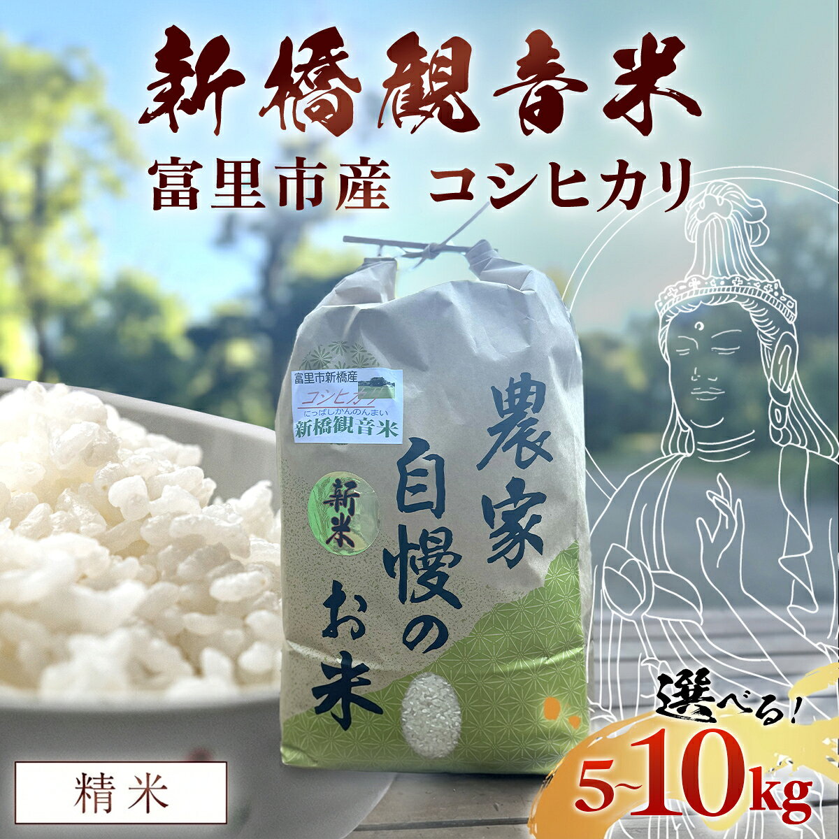 【ふるさと納税】【令和8年産】 新橋観音米 コシヒカリ 精米5kg / 精米10kg 【 お米 米 こめ こしひかり コシヒカリ 新橋観音米 10kg うるち米 送料無料 期間限定 数量限定 ちば 千葉県産とみさと 富里 富里市 】TMY001