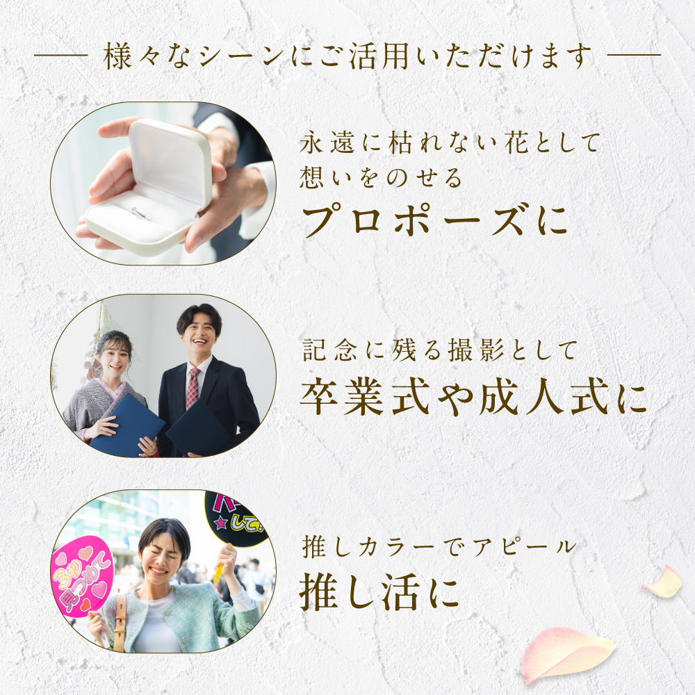 グリッターローズ21本【レッド×ブラック】 | 花 フラワー 四季 ギフト プレゼント 北海道 石狩市