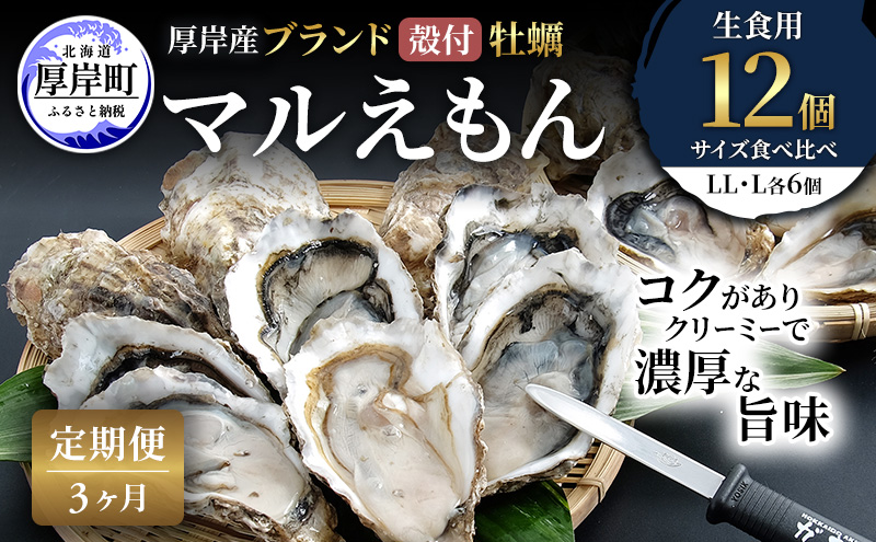 【 3ヵ月 定期便 】 厚岸産 ブランド 殻付カキ マルえもん 