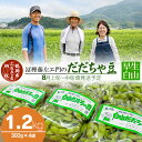 【ふるさと納税】【令和7年産 先行予約 】本場鶴岡市白山産 冨樫藤左エ門のだだちゃ豆(早生白山)1.2kg（300g×4袋）無農薬 枝豆 K-731 | 山形県 東北 えだまめ エダマメ 特産品 お取り寄せ ご当地 茶豆 名産品 おつまみ 酒のつまみ 2025年