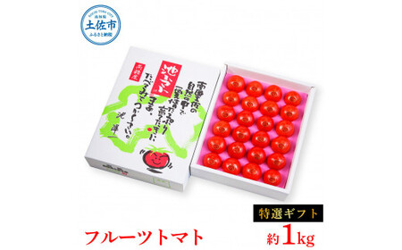 【先行予約】フルーツトマト特選ギフト約1kg ＜2027年1月〜発送＞ /  特Aランク トマト フルーツトマト 池トマト 糖度10度以上 高糖度 高知県産 ギフト 箱入り 贈答用 贈り物 健康【池トマト】[BQAG026]