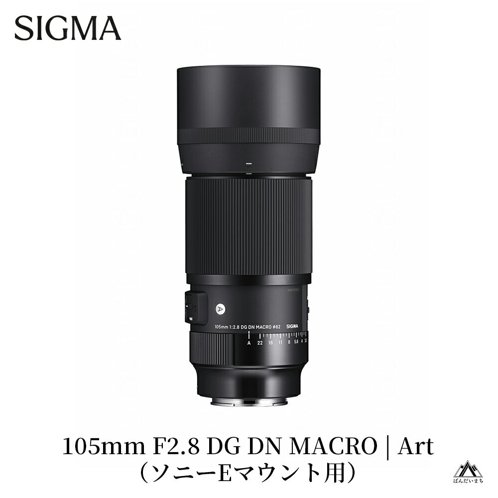 【ふるさと納税】SIGMA 105mm F2.8 DG DN MACRO｜Art【ソニーEマウント／Lマウント】カメラ レンズ 家電