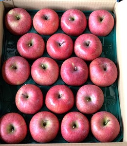有機肥料栽培　葉とらずサンふじ　上山市産　５ｋｇ　１８～２５玉　秀品　0079-2625
