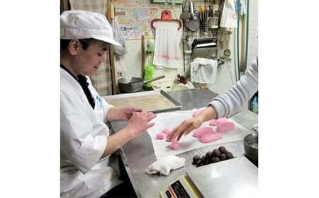 繭もなか 10袋入 【 和菓子 セット 最中 もなか 繭 まゆ 柚子あん 小豆あんスイーツ 老舗 個包装 お茶請け 贈答 贈り物 ギフト プレゼント 綾部 京都】