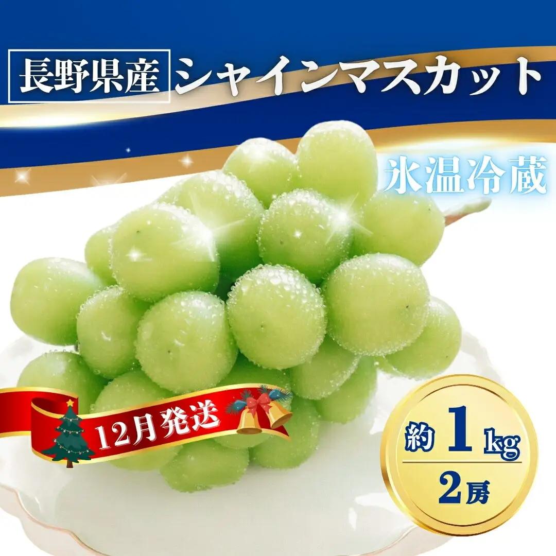 【2026年先行予約】氷温貯蔵シャインマスカット 約1kg(2房)|シャインマスカット