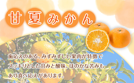 訳あり 森本農園の手選別 甘夏みかん 約2kg 和歌山県産 サイズ混合 ［北海道・沖縄・離島配送不可］［2026年4月上旬から順次発送］［RN73］