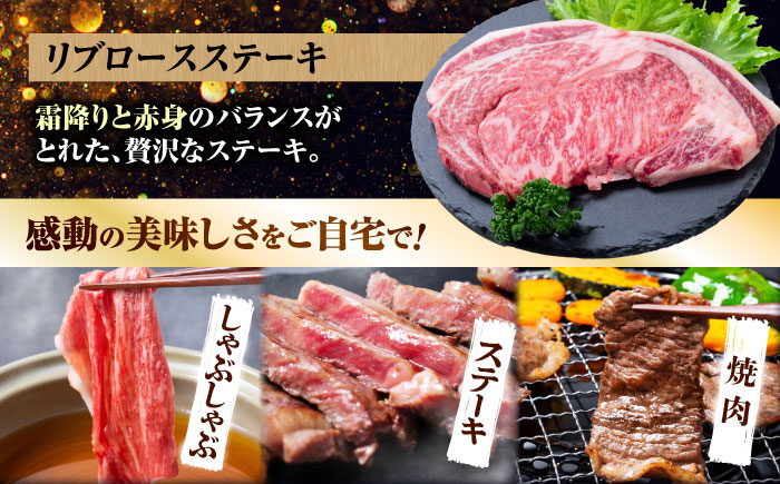 長崎和牛 バラエティ定期便 バラエティセット 牛肉 定期便 国産 サーロイン カルビ ロース しゃぶしゃぶ 牛ミンチ リブロース
