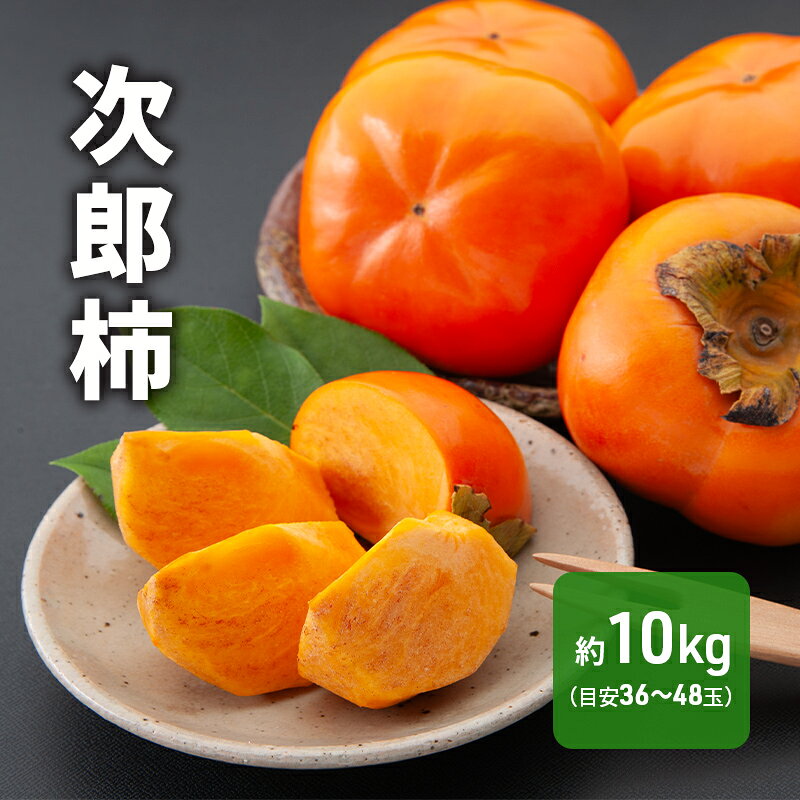 【ふるさと納税】果物 先行予約 次郎柿 約10kg 約36～48個 2026年11月上旬より順次発送 くだもの かき 産地直送 フルーツ 静岡県浜松市　お届け：2026年11月上旬～2026年11月下旬